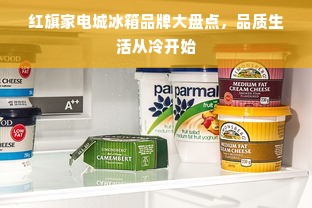红旗家电城冰箱品牌大盘点，品质生活从冷开始