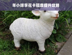 羊小咩享花卡额度提升攻略