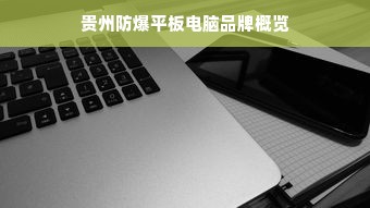 贵州防爆平板电脑品牌概览