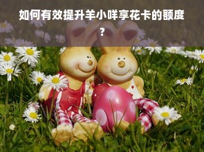 如何有效提升羊小咩享花卡的额度？
