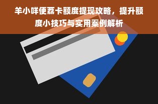 羊小咩便荔卡额度提现攻略，提升额度小技巧与实用案例解析