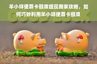 羊小咩便荔卡额度提现商家攻略，如何巧妙利用羊小咩便荔卡额度