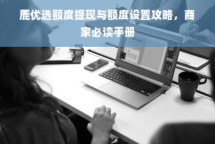 鹿优选额度提现与额度设置攻略，商家必读手册