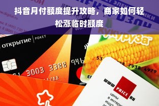 抖音月付额度提升攻略，商家如何轻松涨临时额度