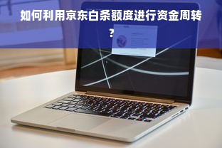 如何利用京东白条额度进行资金周转？
