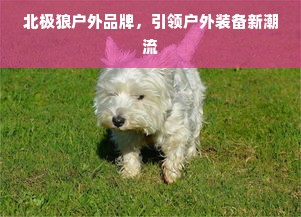 北极狼户外品牌，引领户外装备新潮流