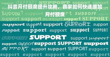 抖音月付额度提升攻略，商家如何快速增加月付额度