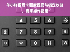 羊小咩便荔卡额度提现与锁定攻略，商家操作指南