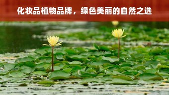 化妆品植物品牌，绿色美丽的自然之选