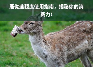 鹿优选额度使用指南，揭秘你的消费力！