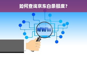 如何查询京东白条额度？