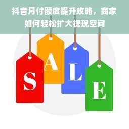 抖音月付额度提升攻略，商家如何轻松扩大提现空间