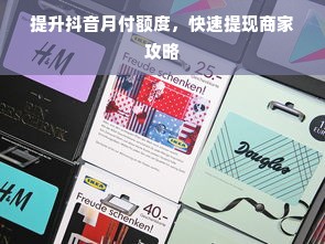 提升抖音月付额度，快速提现商家攻略