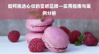 如何挑选心仪的蛋糕品牌—实用指南与案例分析