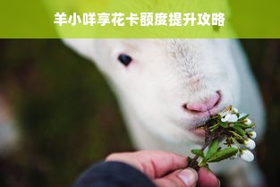 羊小咩享花卡额度提升攻略