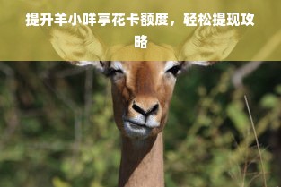 提升羊小咩享花卡额度，轻松提现攻略