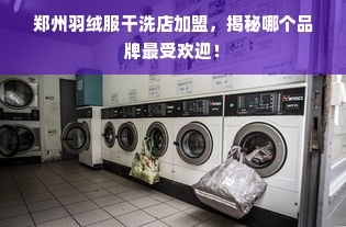 郑州羽绒服干洗店加盟，揭秘哪个品牌最受欢迎！