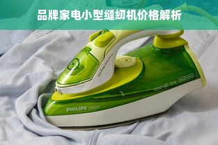 品牌家电小型缝纫机价格解析