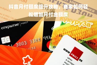 抖音月付额度提升攻略，商家如何轻松增加月付金额度