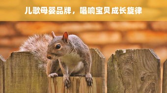 儿歌母婴品牌，唱响宝贝成长旋律