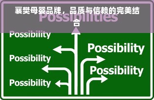 襄樊母婴品牌，品质与信赖的完美结合