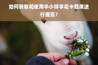 如何获取和使用羊小咩享花卡额度进行提现？