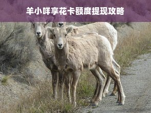 羊小咩享花卡额度提现攻略
