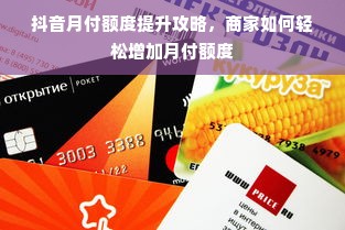 抖音月付额度提升攻略，商家如何轻松增加月付额度