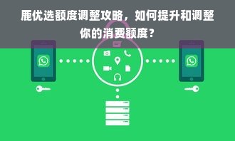 鹿优选额度调整攻略，如何提升和调整你的消费额度？