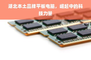 湖北本土品牌平板电脑，崛起中的科技力量