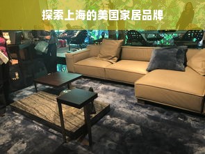 探索上海的美国家居品牌