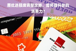 鹿优选额度调整攻略，如何提升你的消费力？