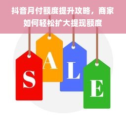 抖音月付额度提升攻略，商家如何轻松扩大提现额度