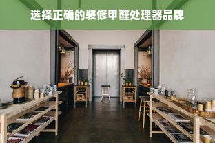 选择正确的装修甲醛处理器品牌