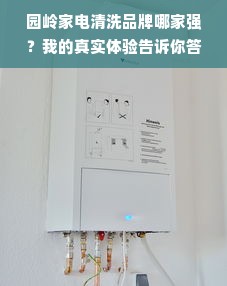 园岭家电清洗品牌哪家强？我的真实体验告诉你答案
