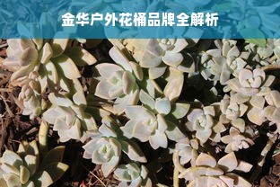 金华户外花桶品牌全解析