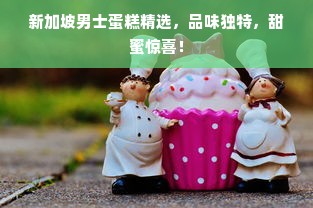 新加坡男士蛋糕精选，品味独特，甜蜜惊喜！