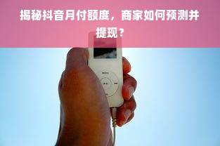 揭秘抖音月付额度，商家如何预测并提现？