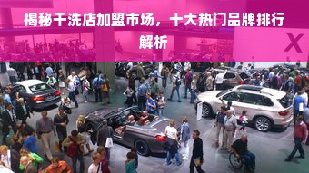 揭秘干洗店加盟市场，十大热门品牌排行解析