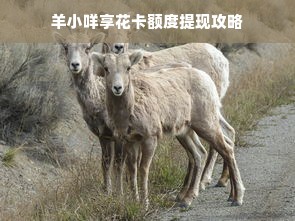 羊小咩享花卡额度提现攻略