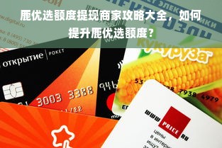 鹿优选额度提现商家攻略大全，如何提升鹿优选额度？