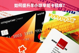 如何提升羊小咩享花卡额度？