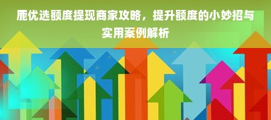 鹿优选额度提现商家攻略，提升额度的小妙招与实用案例解析