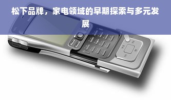 松下品牌，家电领域的早期探索与多元发展