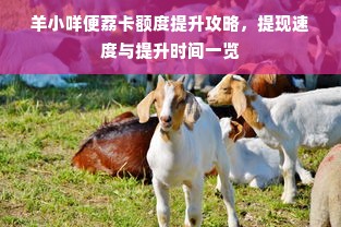 羊小咩便荔卡额度提升攻略，提现速度与提升时间一览
