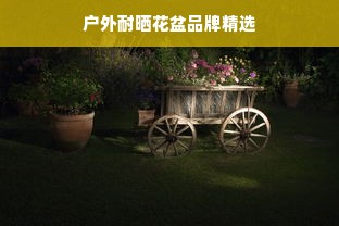 户外耐晒花盆品牌精选
