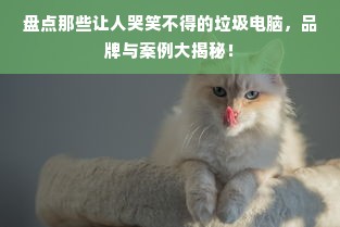 盘点那些让人哭笑不得的垃圾电脑，品牌与案例大揭秘！