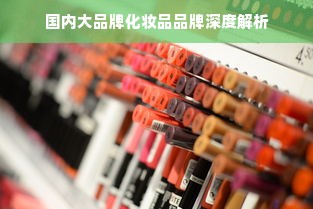 国内大品牌化妆品品牌深度解析