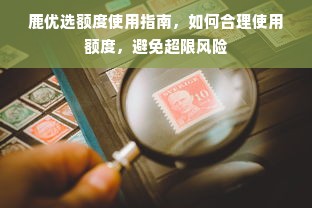 鹿优选额度使用指南，如何合理使用额度，避免超限风险