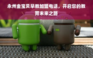 永州金宝贝早教加盟电话，开启您的教育未来之路